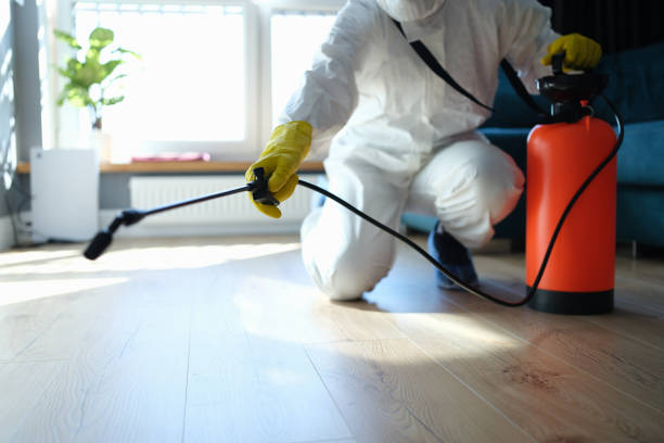 Reliable Biohazard contractor in Paradise Valley, NV by Dulley Family Biohazard Services
